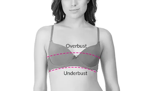 How to measure bra band and cup